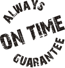 SavvyCleaner.com-always-on-time-guarantee